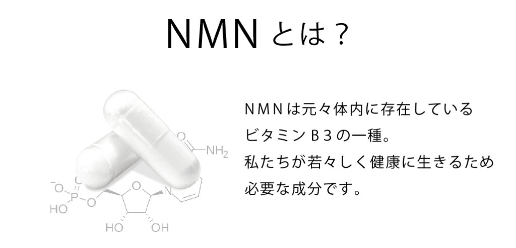 NMNって何？　NMNとは？